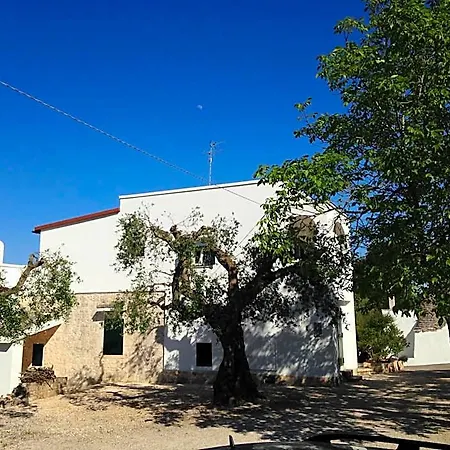 فندق مبيت وإفطار La Vecchia Tabaccheria أوستوني
